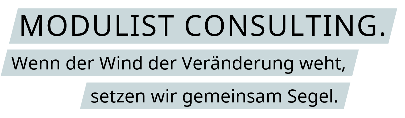 Modulist Consulting.mobil
